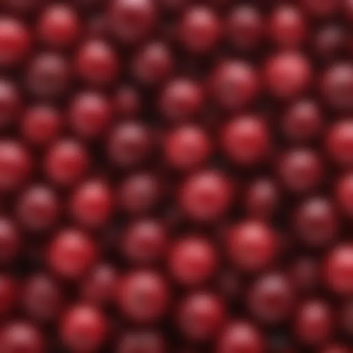 Fresh cranberries showing their vibrant color