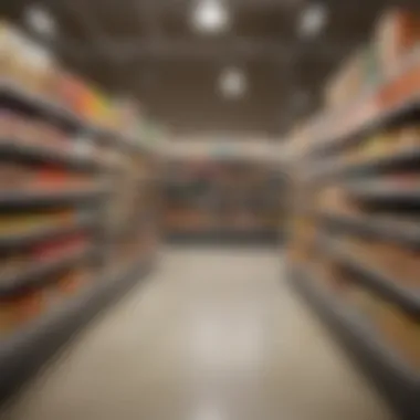 Smart Grocery Shopping for Diabetics A budget-friendly shopping list for grocery essentials