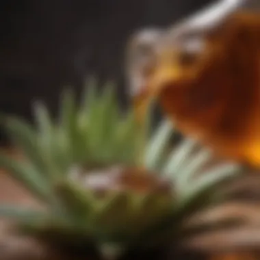 Close-up of agave syrup pouring