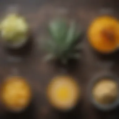 Nutritional Profiles of Agave and Honey A comparison chart highlighting nutritional values
