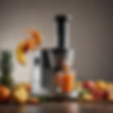 Juicer extracting juice from fresh fruits