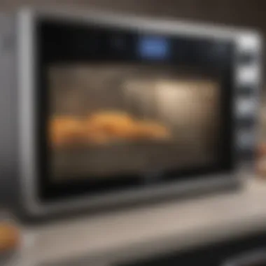Culinary Applications of Air Ovens A variety of dishes prepared using air ovens and convection methods.