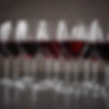 An Array of Red Wines A rich selection of red wines displayed elegantly in glasses