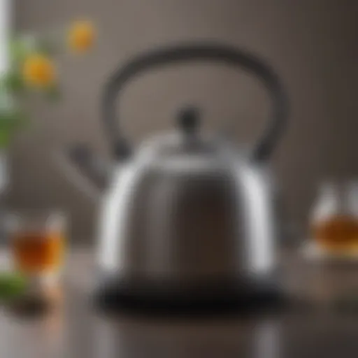 Elegant design of the Balmuda Tea Kettle showcasing its unique aesthetics