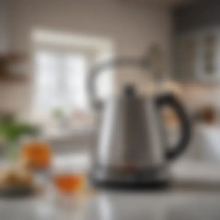 Balmuda Tea Kettle placed in a modern kitchen setting