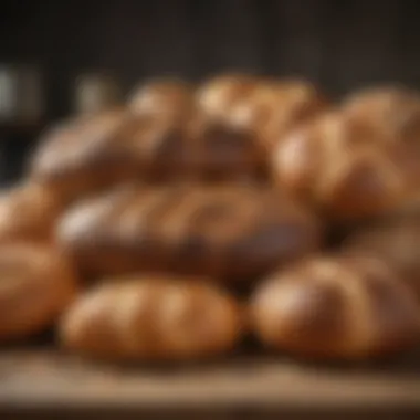 A variety of bread types displayed on a kitchen surface