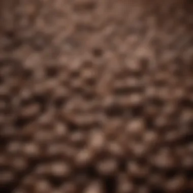 Understanding Coffee Roasting Coffee beans in various roasting stages