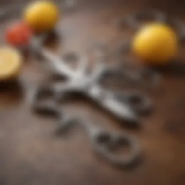 Key Features for Productivity in Office Scissors Features that boost productivity in office scissors