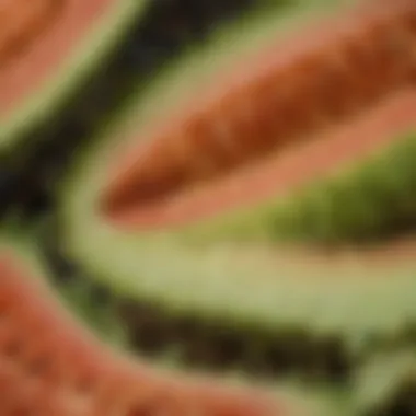 Detailed view of bitter melon showcasing its unique texture and color