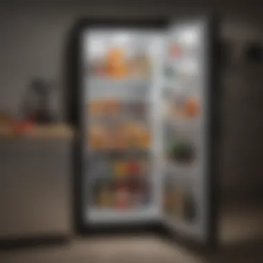 Interior layout of the Black and Decker mini fridge