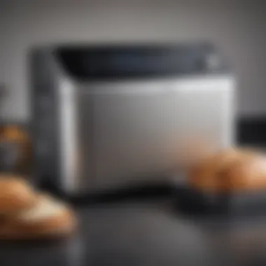 Advanced Settings on the Display Panel Display panel of the Breville Bread Machine highlighting its advanced settings