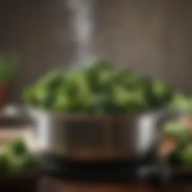 Steamed Broccoli Broccoli cooked in a steaming pot with herbs