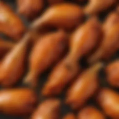 Close-up of buffalo wings showcasing the rich sauce and texture