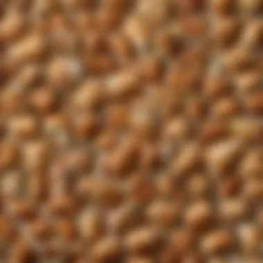 Delicious Variations of the Chick-fil-A Wrap A selection of popular variations of the Chick-fil-A wrap arranged aesthetically