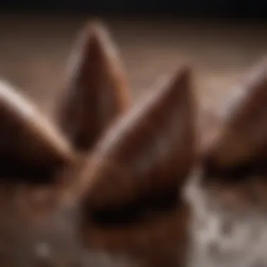 A close-up of the glossy chocolate coating on cone ends