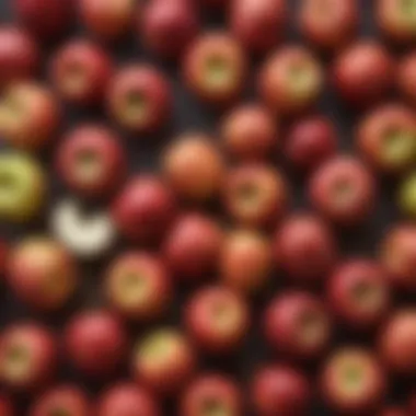 Flavor Profiles of Baking Apples A visual comparison of flavor profiles of different baking apples