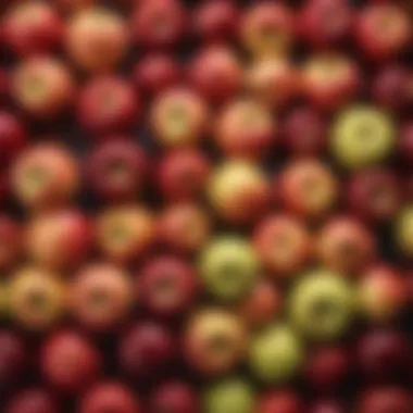 Diverse Apple Varieties for Baking A vibrant display of various apple varieties ideal for baking