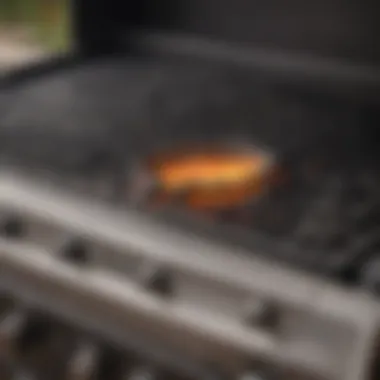 Before Cleaning: Gas Grill Burner Up Close Close-up view of a gas grill burner before cleaning