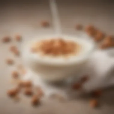 Culinary Applications of Almond Milk A beautifully arranged almond milk-based dish highlighting culinary creativity.