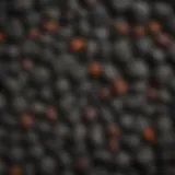 Various types of charcoal used in culinary applications