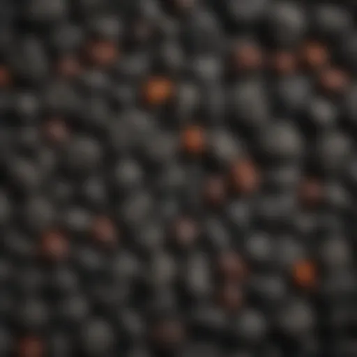 Various types of charcoal used in culinary applications