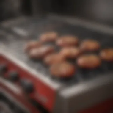 Temperature Control Features of Big Red Grill Illustration of grill temperature control features