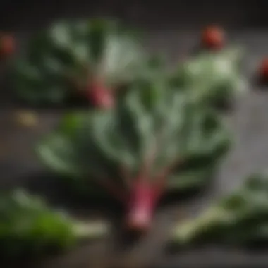 Versatile Cooking Techniques for Swiss Chard Different cooking techniques applied to Swiss chard leaves