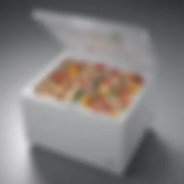 Compact Design of Front Opening Chest Freezer Compact chest freezer with front opening