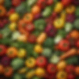 Vibrant array of fresh vegetables ready for slow cooking