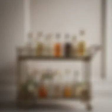 A beautifully arranged bar cart featuring gin, mixers, and garnishes