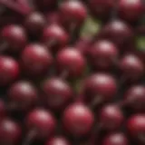 Vibrant assortment of fresh beets