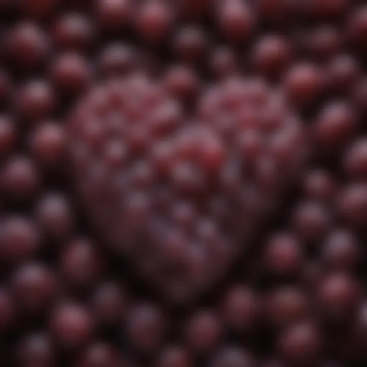 An array of grapes representing the origins of dealcoholized wine