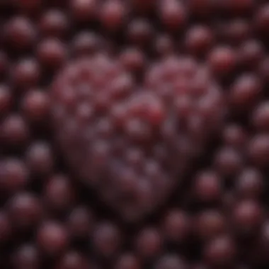 The Grape: Heart of Dealcoholized Wine An array of grapes representing the origins of dealcoholized wine