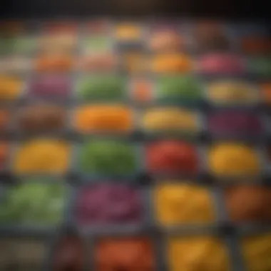 Colorful Frozen Meal Collection A collection of colorful, frozen meals neatly arranged in containers.