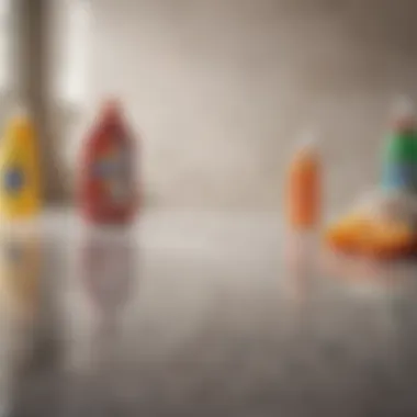 Cleaning Products for Tile Floors Assortment of cleaning products for tile floors