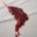 Red wine stain on white fabric