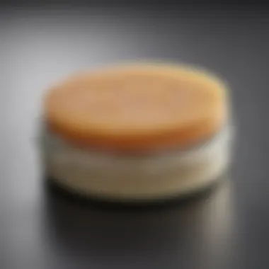 Rubber Grip Pad for Jar Lids A rubber grip pad placed on top of a jar lid for better traction.