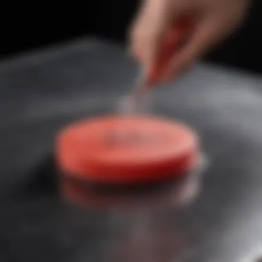 Close-up of a silicone splatter guard being cleaned effortlessly.