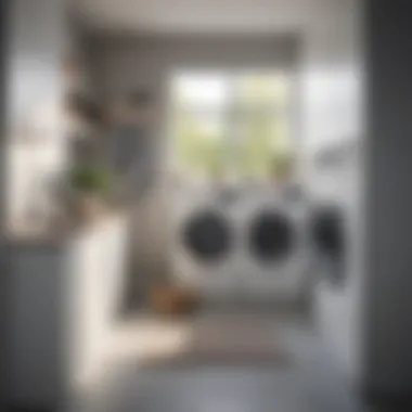 Maintaining a Lint-Free Laundry Environment An organized laundry area with a lint-free dryer visible