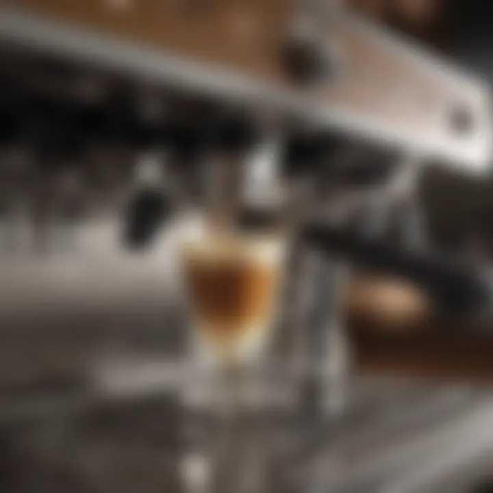 Close-up view of an espresso machine's components with annotations.