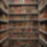 A variety of canned goods in a well-organized pantry
