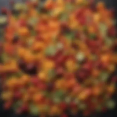 A colorful array of freeze-dried fruits and vegetables