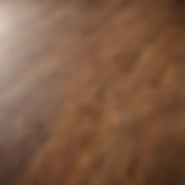 Understanding Laminate Flooring Close-up of laminate flooring texture
