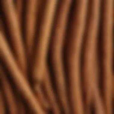 Agobi Ceylon Cinnamon Sticks Close-up view of Agobi Ceylon cinnamon sticks showcasing their unique color and texture