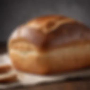 A fresh loaf of bread made with a collapsible paddle machine