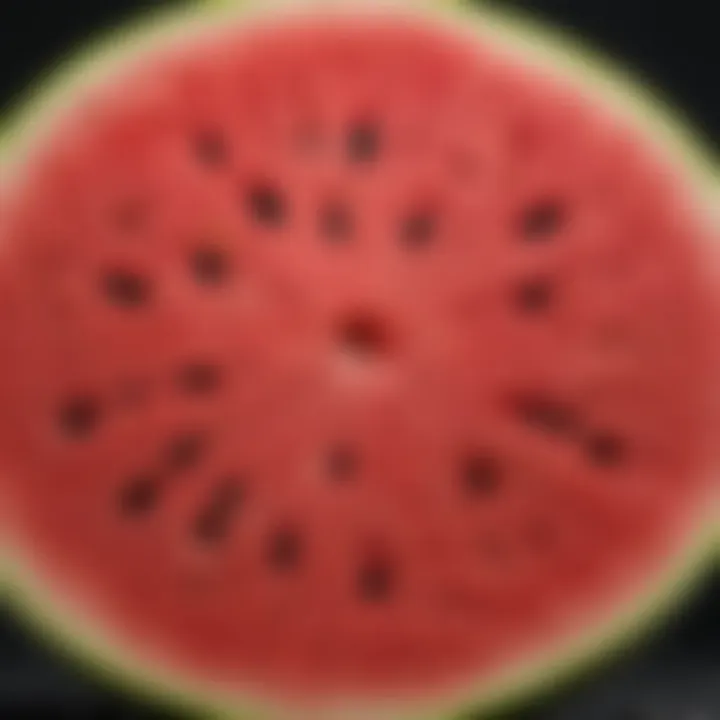 Close-up of a juicy watermelon slice revealing its carbohydrates