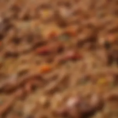 A detailed close-up of the spices that enhance the flavors of Creole jambalaya.