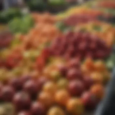 A vibrant farmers market filled with fresh produce.