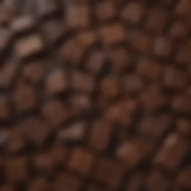 A close-up of rich dark chocolate bars showcasing various textures and cocoa percentages