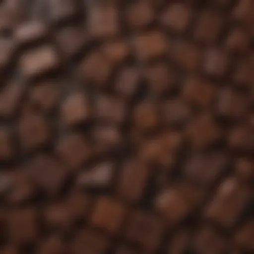 A close-up of rich dark chocolate bars showcasing various textures and cocoa percentages